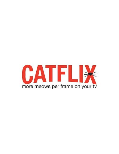 Catflix Review